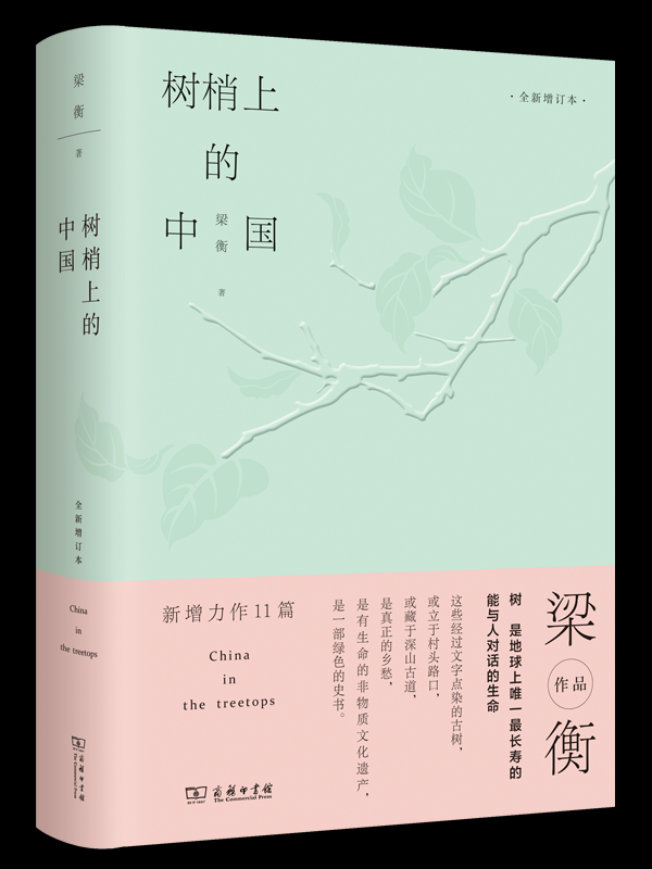 股票配资咨询 程耀恺：书房里的“树”_大皖新闻 | 安徽网