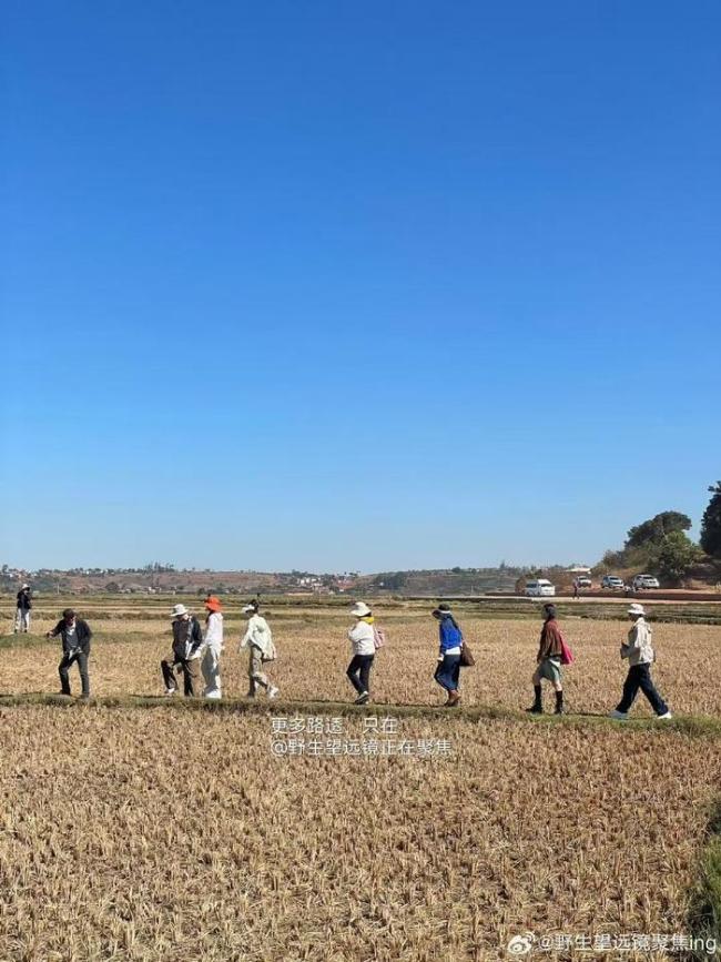 大明星怎么跑去种地了，花少是懂变形计的