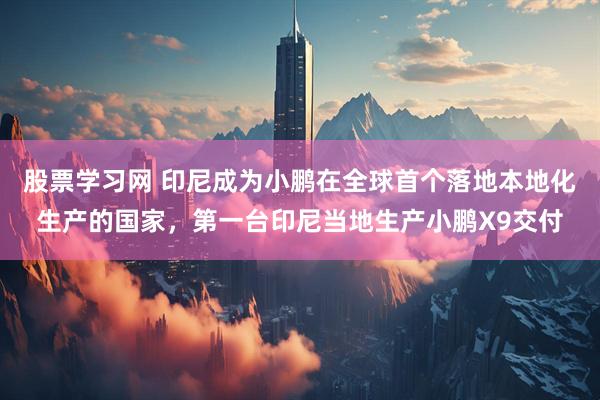 股票学习网 印尼成为小鹏在全球首个落地本地化生产的国家，第一台印尼当地生产小鹏X9交付